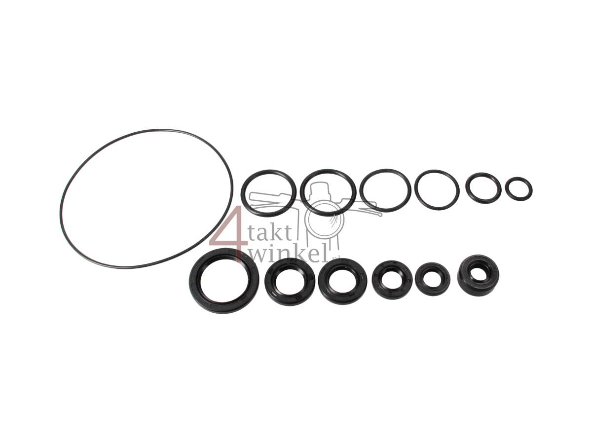 Oil Seal kit, Skyteam, 6-piece (engine with starter)
