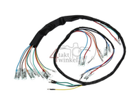 Wire harness, fits Dax OT 6v