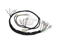 Wire harness, fits Dax OT 6v