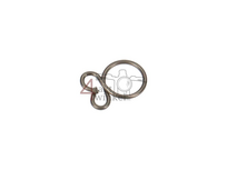 Fuel hose clip, B1, 6.5, original Honda