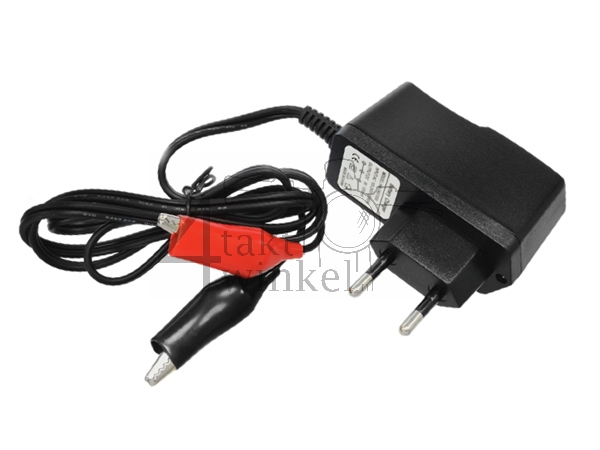 Battery charger, 12 volts