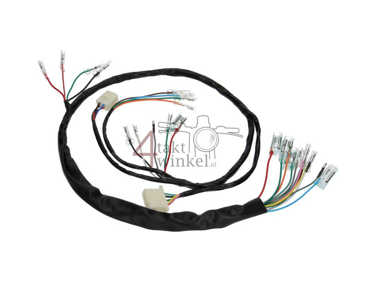 Wire harness, fits Dax OT 6v