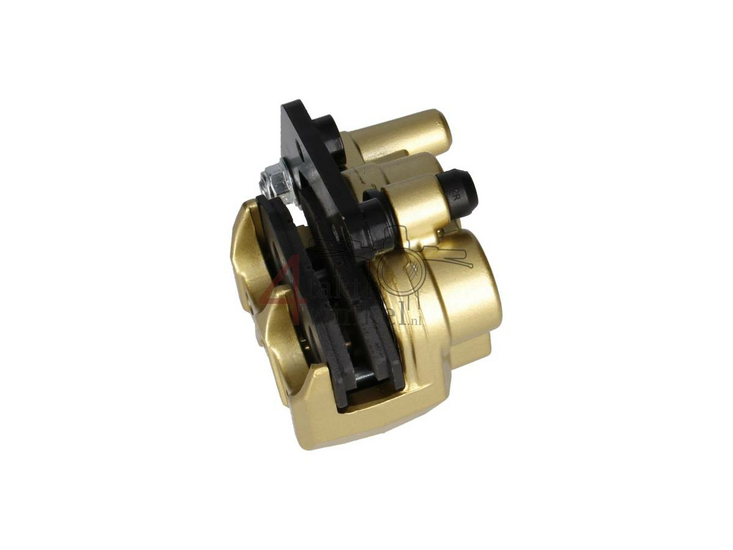 Brake caliper, Skyteam, Zhenhua, 2 pistons