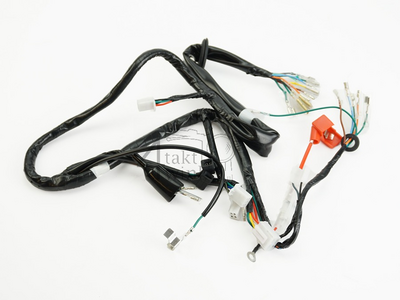 Wire harness Dax 12v NT